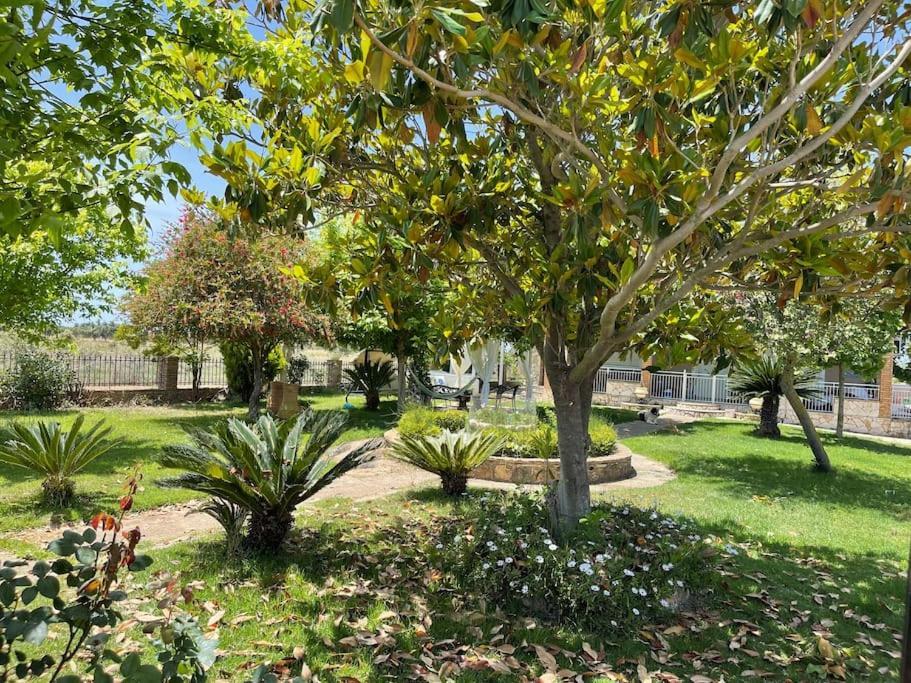 Mama'S Sunshine Garden Villa Agios Ilias  Exterior foto