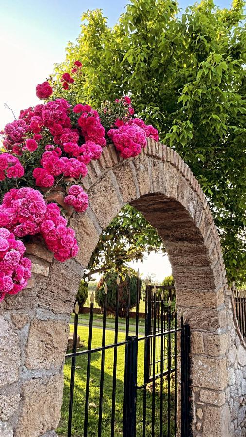 Mama'S Sunshine Garden Villa Agios Ilias  Exterior foto