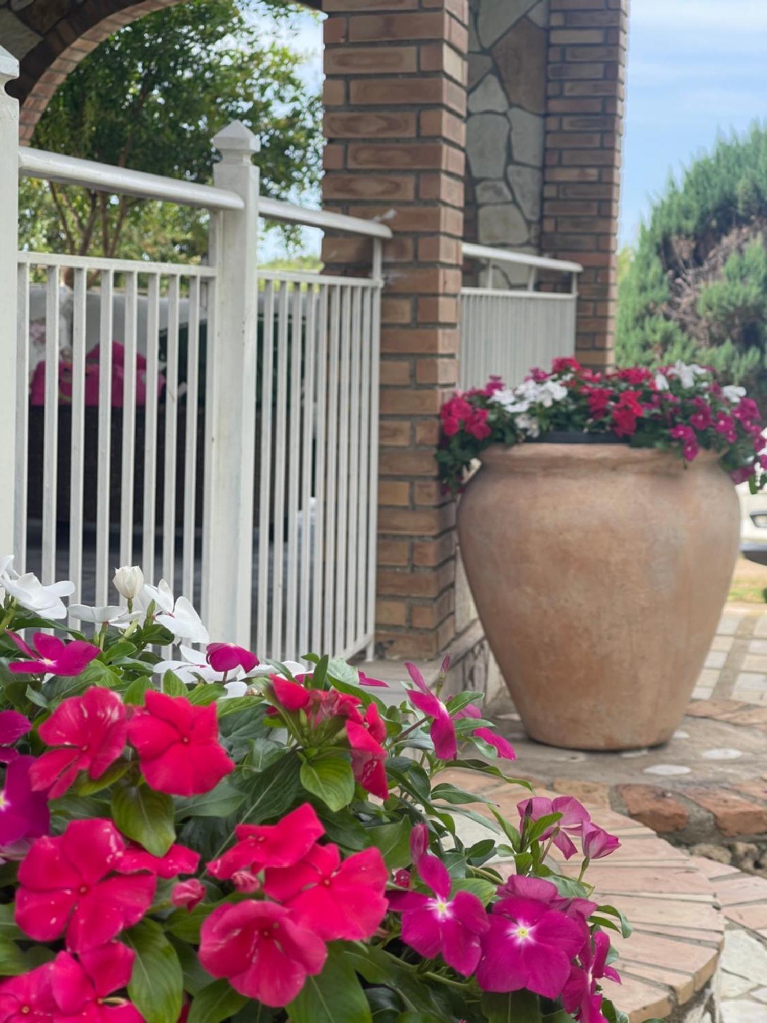 Mama'S Sunshine Garden Villa Agios Ilias  Exterior foto