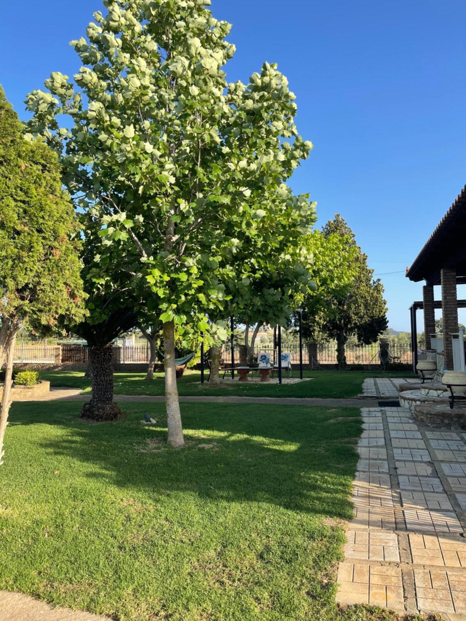 Mama'S Sunshine Garden Villa Agios Ilias  Exterior foto